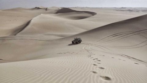 여수시 보건소, 봄철 건강 검진 무료 실시