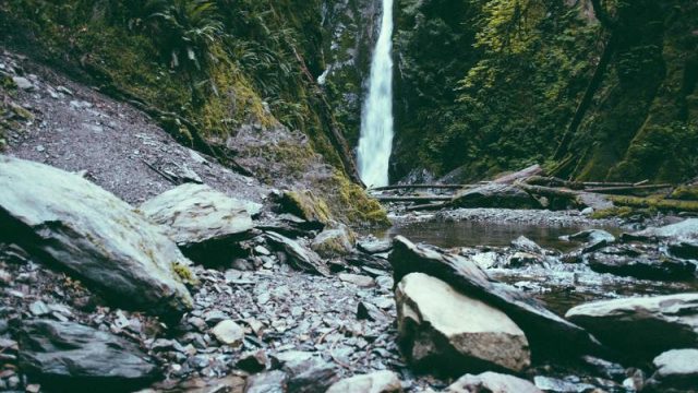 여수 엑스포 해양공원, 봄맞이 공연 프로그램 발표