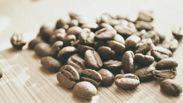 여수 오동도 봄 튤립 페스티벌, 이번 주말 개막