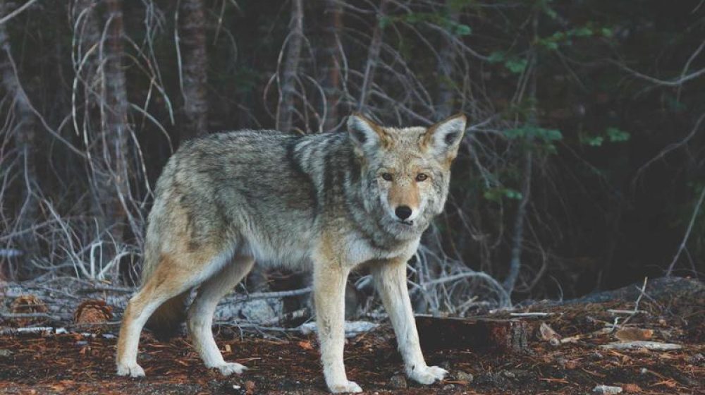 2026 여수세계섬박람회 성공 개최 준비 박차