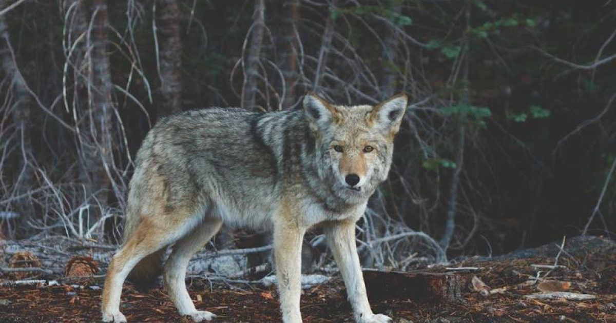 2026 여수세계섬박람회 성공 개최 준비 박차