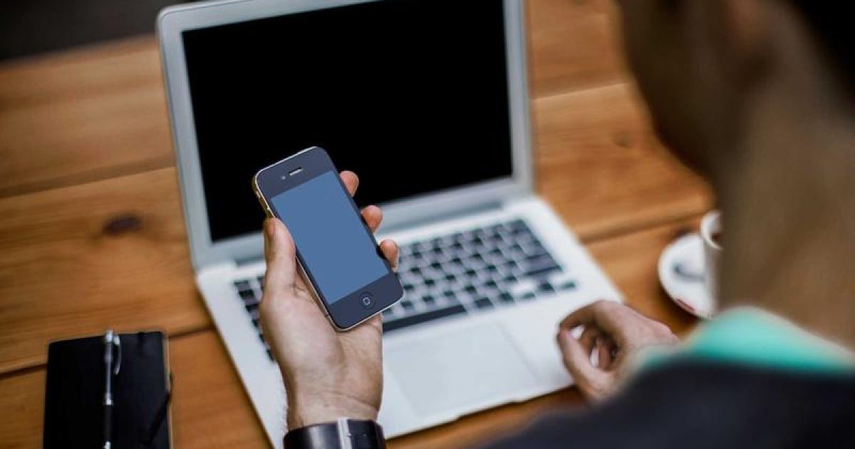 여수 돌산도 봄꽃 축제 개막...관광객 몰려