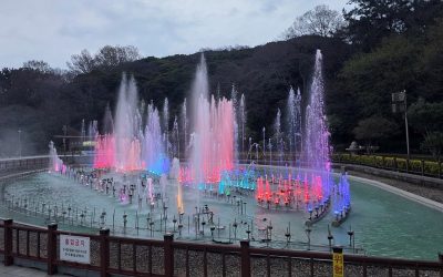 기후주간 앞둔 오동도 ‘새단장’… 밤 10시까지 즐긴다