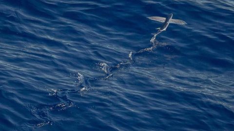 여수 소방서, 봄철 화재 예방 캠페인 실시