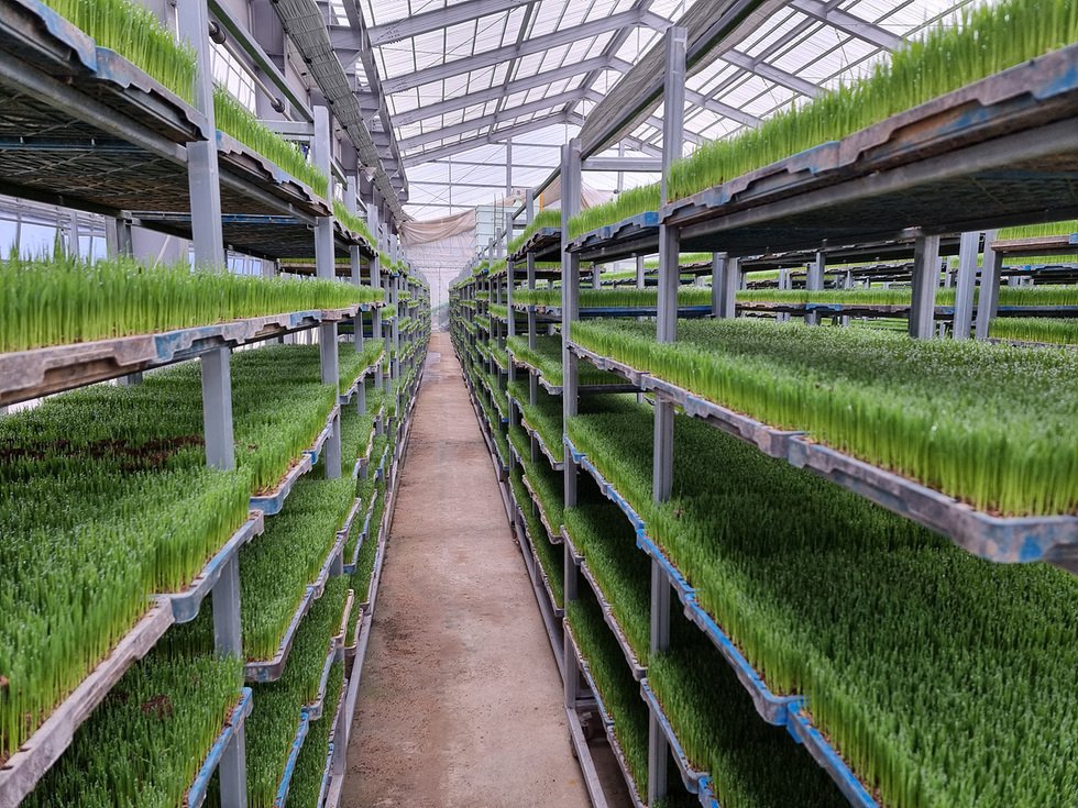 여수시, 벼농사 시작은 ‘안전 육묘’부터… 기상 이변 대비 당부