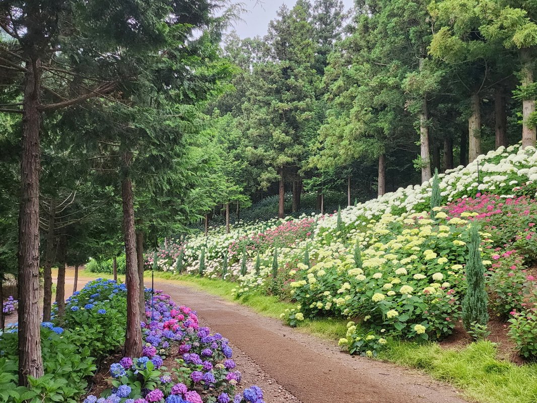전남도, 예쁜정원 콘테스트 개최