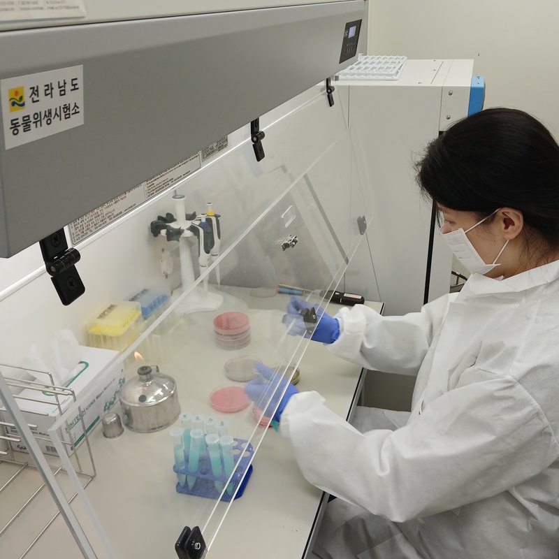 전남동물위생시험소, 봄나들이철 축산물 위생관리 강화