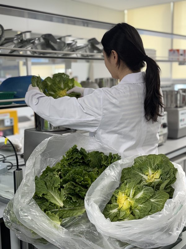 전남지역 유통 봄철 다소비 농산물 모두 ‘안전’