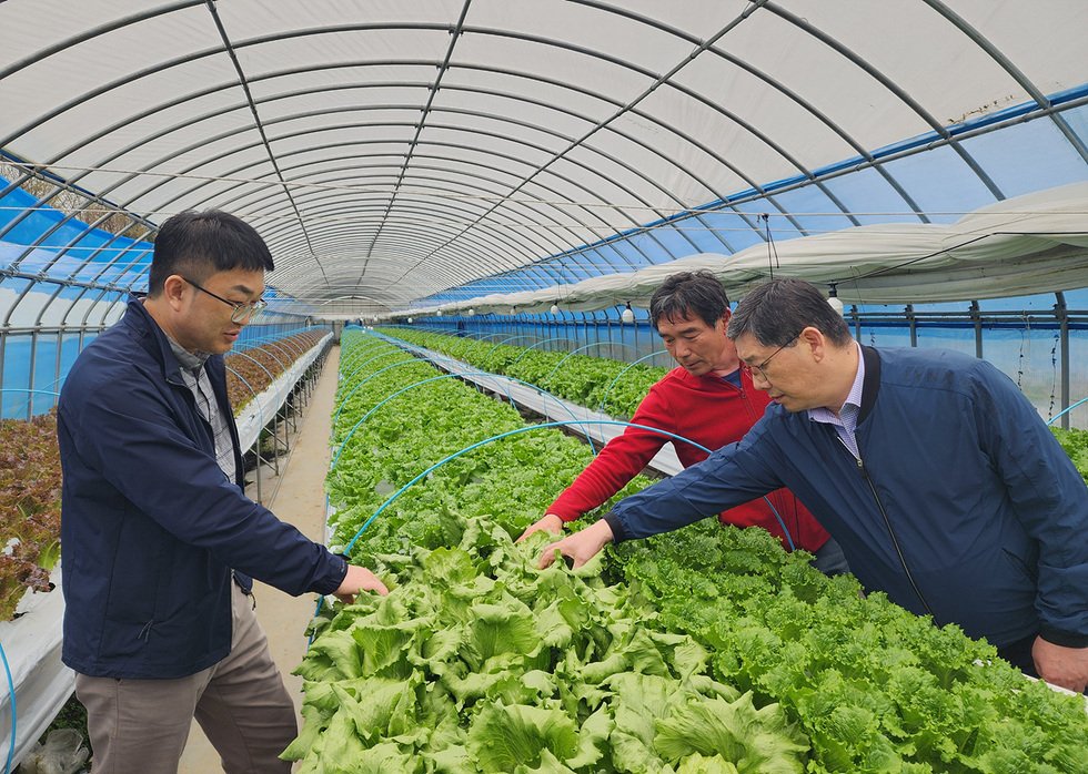 여수시, 학교급식 여수산 친환경농산물 공급 확대 ‘총력’