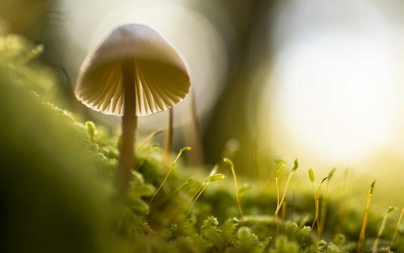 여수시, 시민 제안 사업 공모 시작