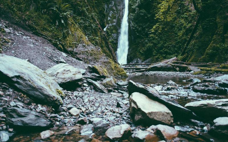 여수 엑스포 해양공원, 봄맞이 공연 프로그램 발표
