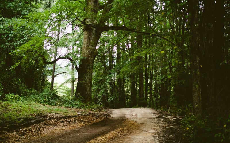 여수 마라톤 대회, 5월 개최 참가자 접수 시작