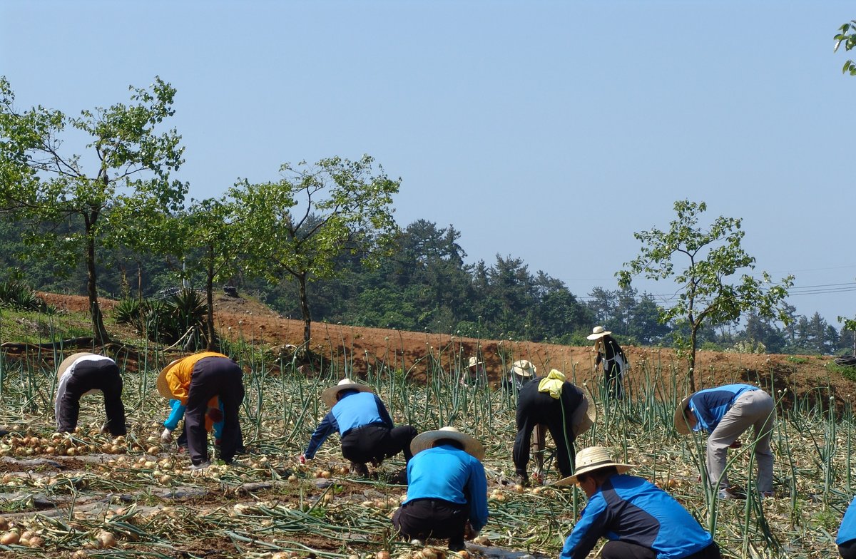전남도, 농어민 공익수당 70만원 지급