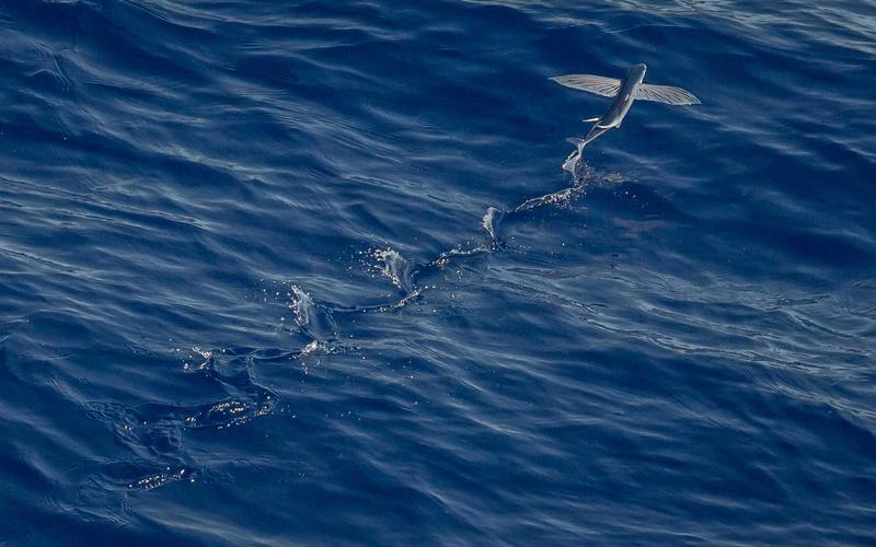 여수 소방서, 봄철 화재 예방 캠페인 실시