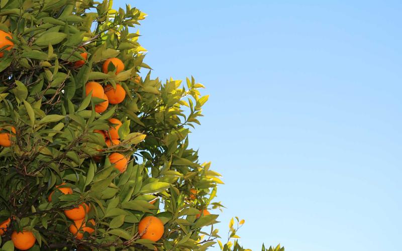 여수 해상케이블카