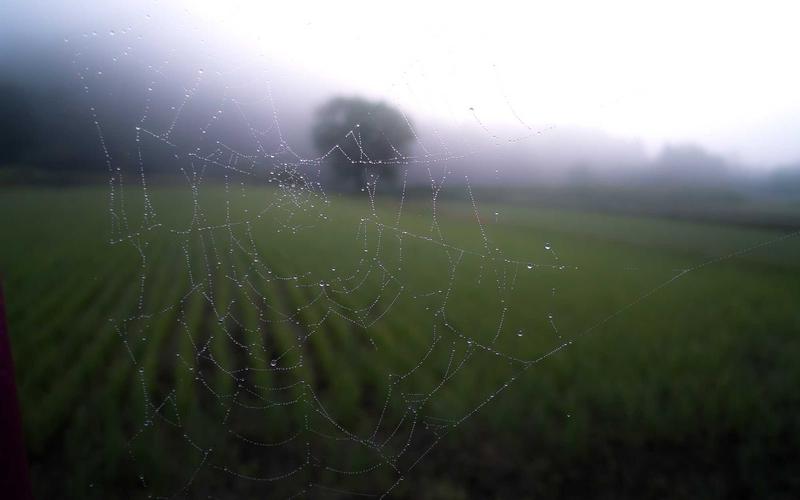 여수 세계박람회장