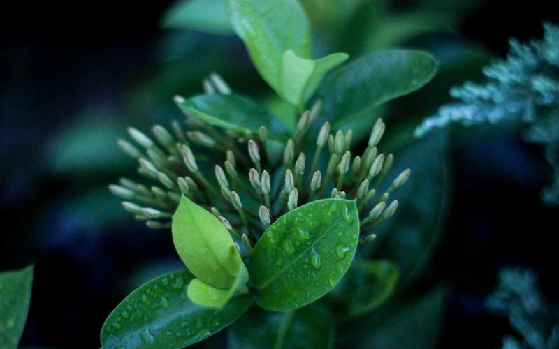 여수 베네치아 호텔