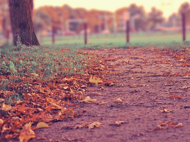 르노 QM6 LPG 2020 유지비 저렴