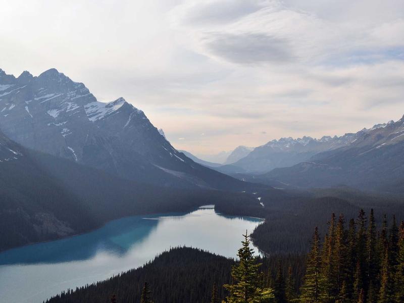 코나EV 2021 완충 406km 전기SUV