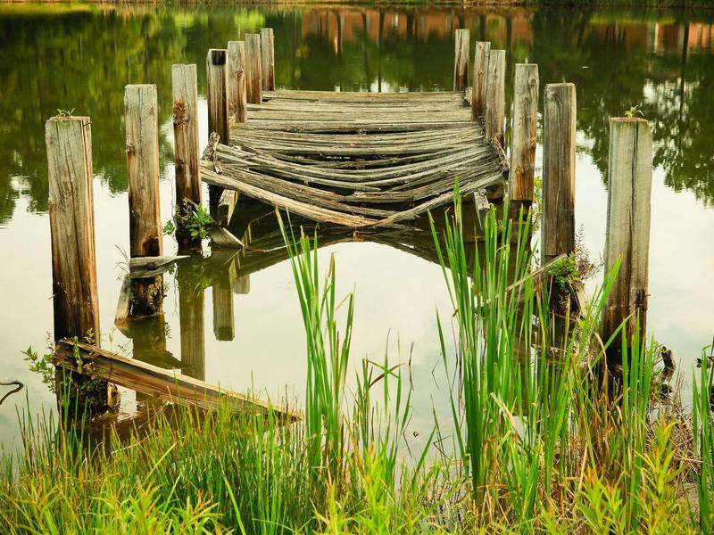 유기농 고구마 10kg 여수 산지직송