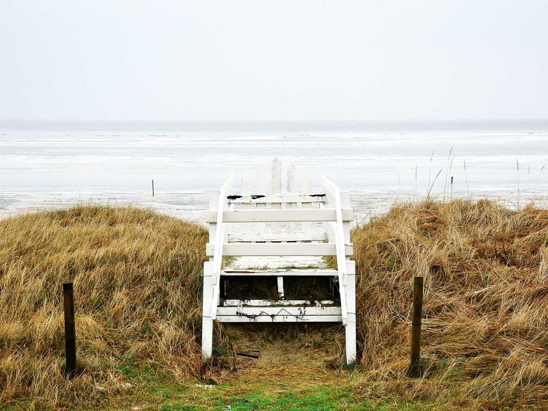 다이슨 무선청소기 V11 배터리정상