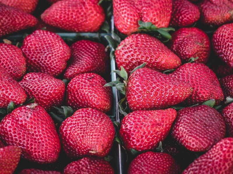 돌산도 오션뷰 펜션 단기임대