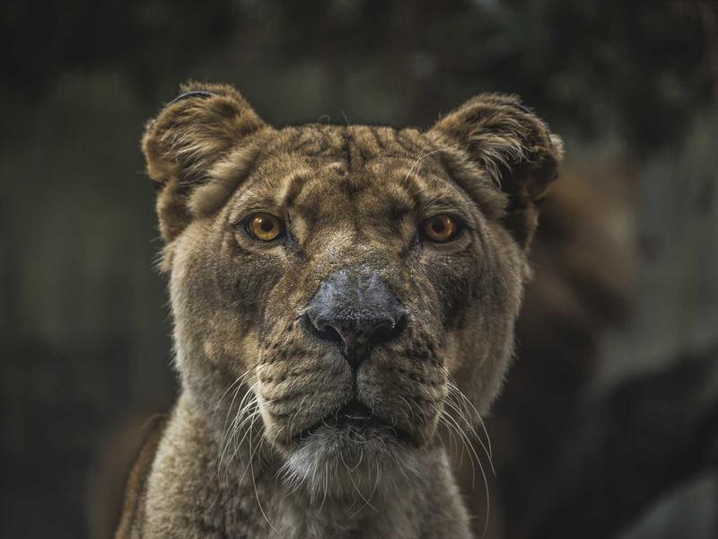 만덕동 역세권 원룸 전세
