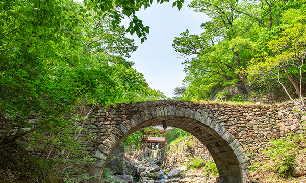 순천만 갈대밭 탐방