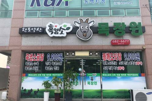 완도약산흑염소목장원