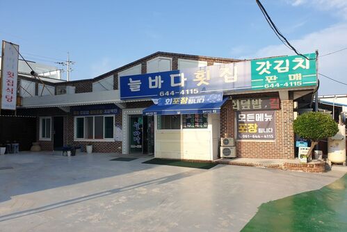 늘바다