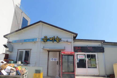 금비늘