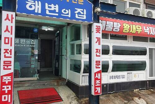 해변의집