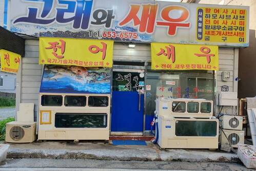 고래와새우