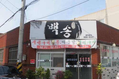 백송