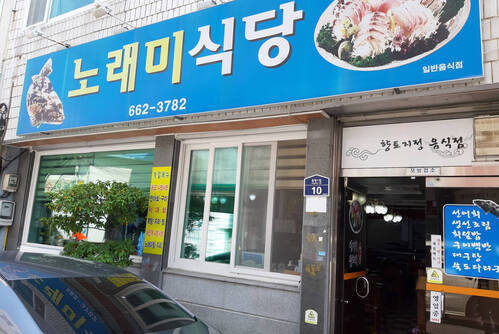 노래미