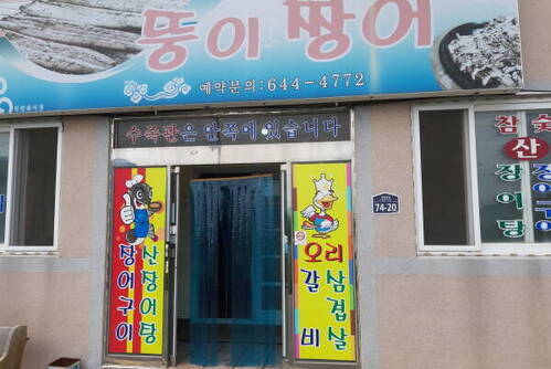 뚱이짱어