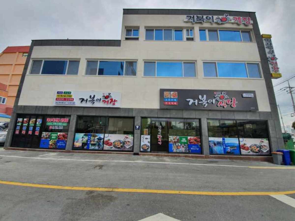 거북이식당