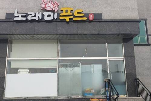 노래미