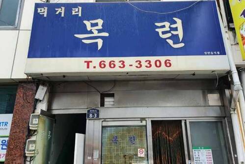 목련