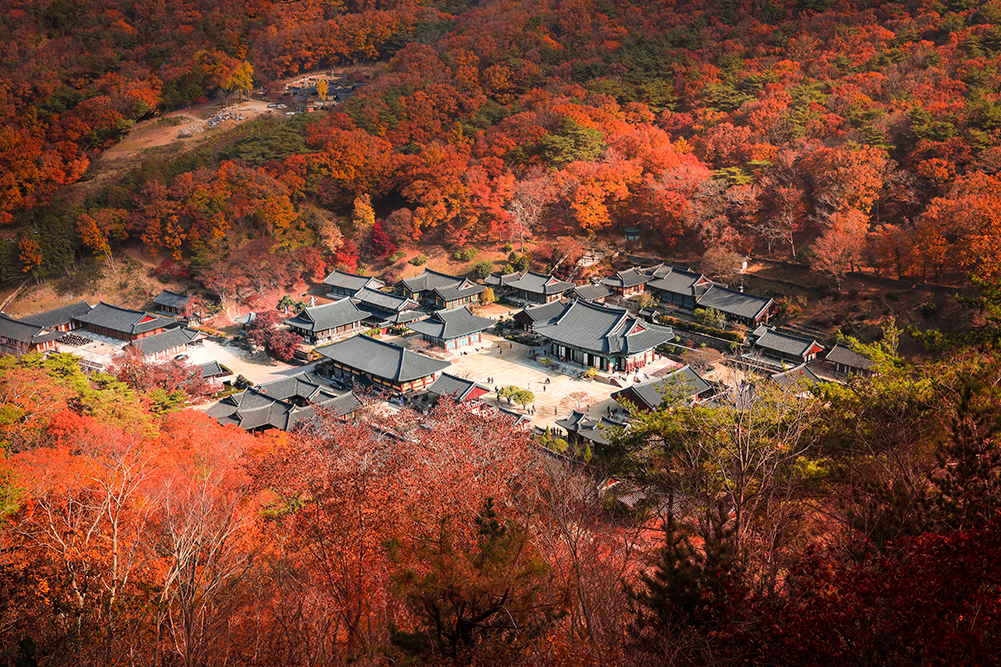 송광사
 
 
 407
 지도정보