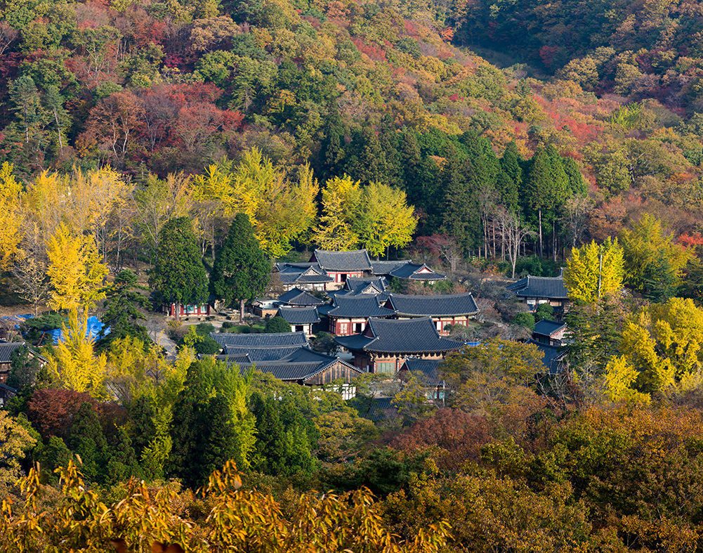 선암사
 
 
 432
 지도정보